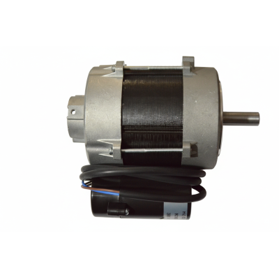 00059-01397 Motore Bruciatore 220V - 100W Lavor