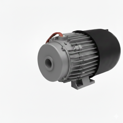 00059-01062 Motore LWM 230V Lavor