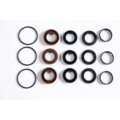 10001-10024 KIT TENUTE A.P.D15 PER POMPA LP 1507