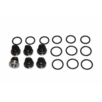10001-01629 KIT VALVOLE FW